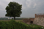 Kalemegdan
2005:07:09 16:18

(c) Zoran Zivotic 2005